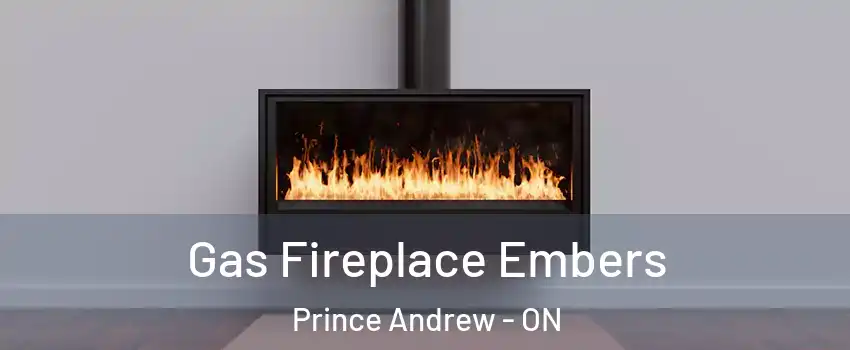  Gas Fireplace Embers Prince Andrew - ON