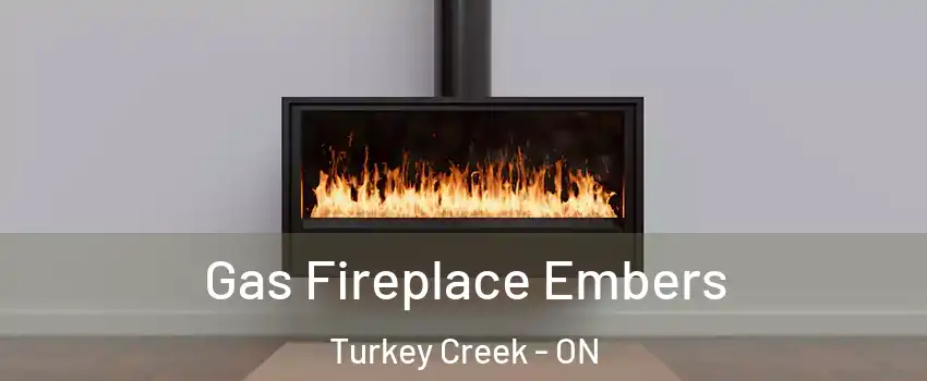  Gas Fireplace Embers Turkey Creek - ON