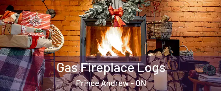  Gas Fireplace Logs Prince Andrew - ON