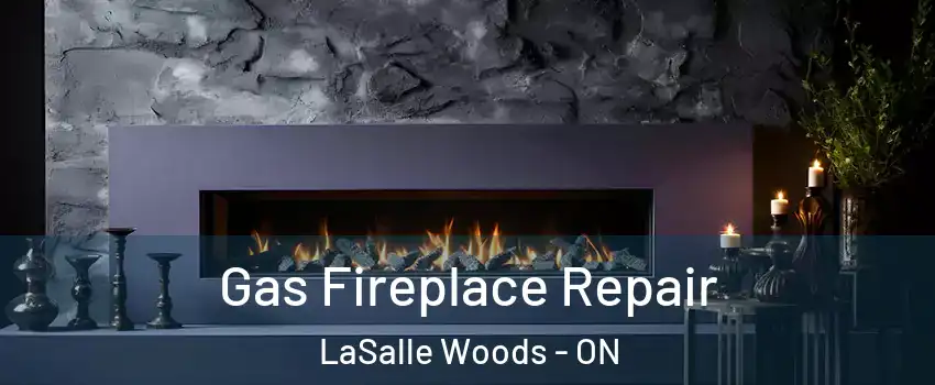  Gas Fireplace Repair LaSalle Woods - ON