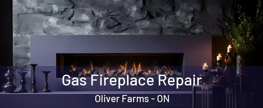  Gas Fireplace Repair Oliver Farms - ON
