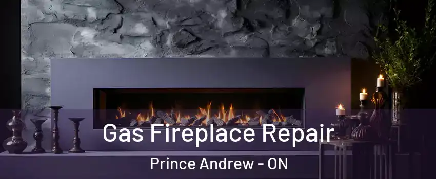  Gas Fireplace Repair Prince Andrew - ON
