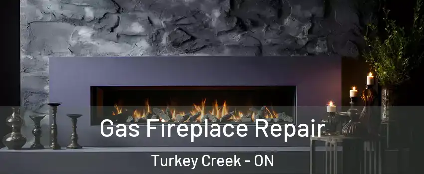 Gas Fireplace Repair Turkey Creek - ON