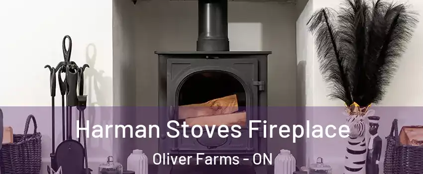  Harman Stoves Fireplace Oliver Farms - ON