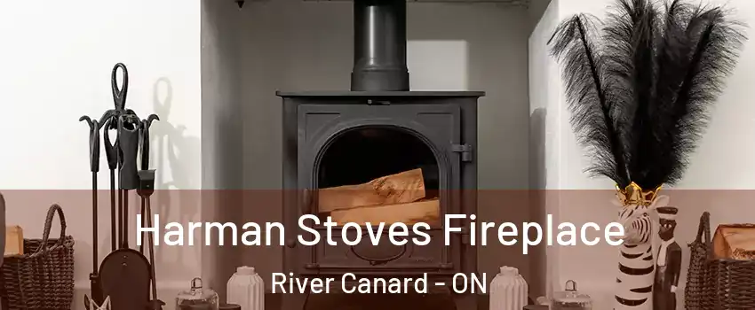 Harman Stoves Fireplace River Canard - ON