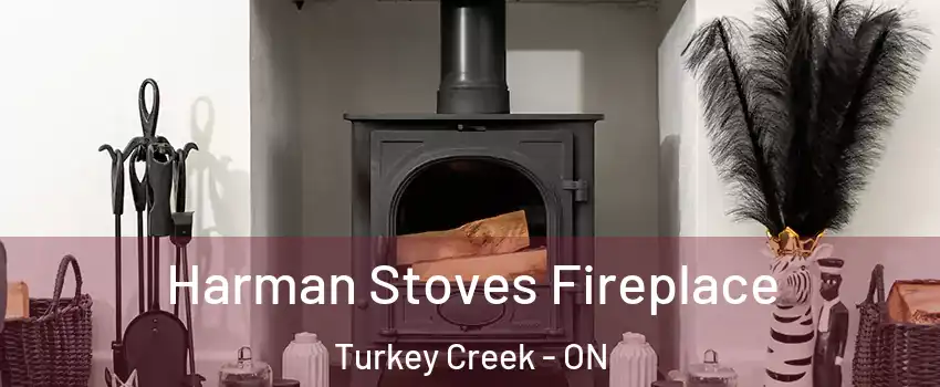  Harman Stoves Fireplace Turkey Creek - ON