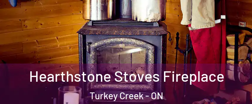 Hearthstone Stoves Fireplace Turkey Creek - ON