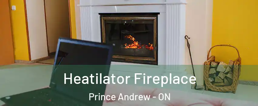  Heatilator Fireplace Prince Andrew - ON