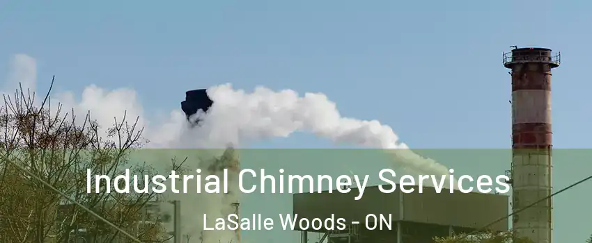  Industrial Chimney Services LaSalle Woods - ON