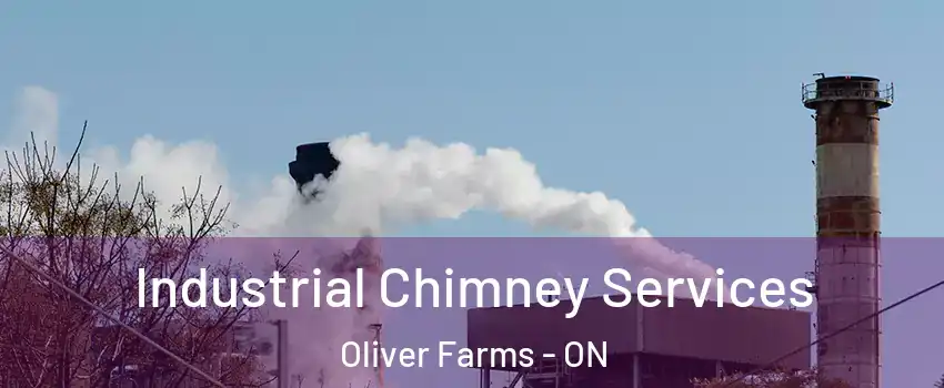  Industrial Chimney Services Oliver Farms - ON