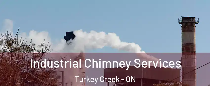  Industrial Chimney Services Turkey Creek - ON