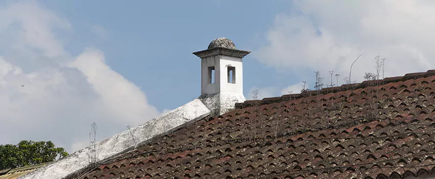 Wind-Resistant Chimney Caps Installation and Repair Services in LaSalle, Ontario