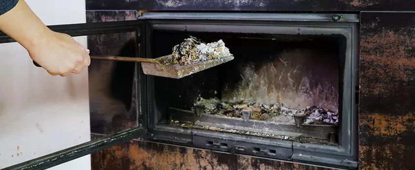 Wood Burning Chimney Odor Removal in LaSalle, Ontario
