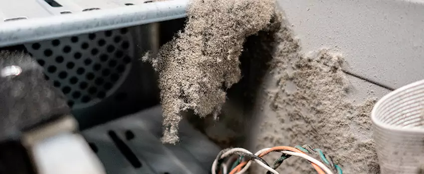 Clogged Dryer Vent Lint Cleaning in LaSalle, Ontario