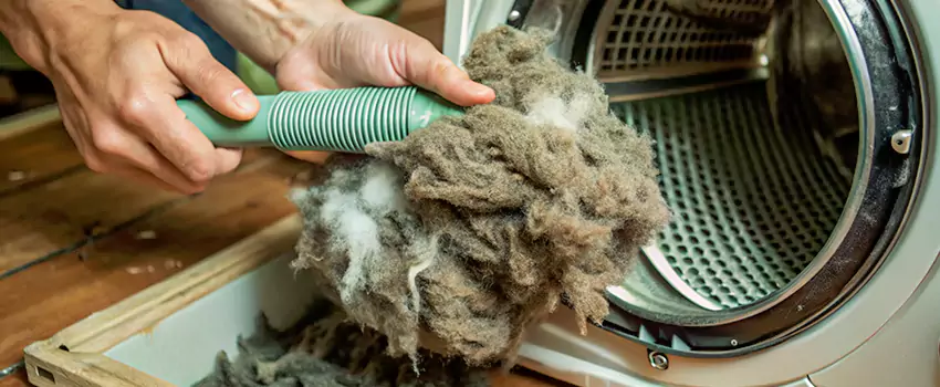 Best Dryer Lint Removal Company in LaSalle, Ontario