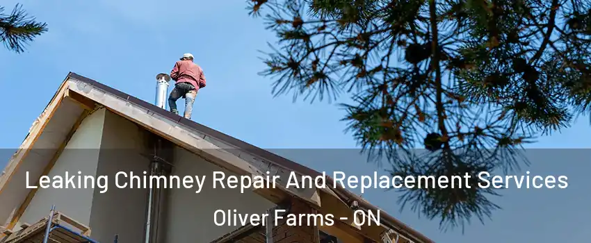 Leaking Chimney Repair And Replacement Services Oliver Farms - ON