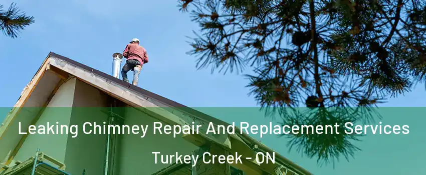  Leaking Chimney Repair And Replacement Services Turkey Creek - ON