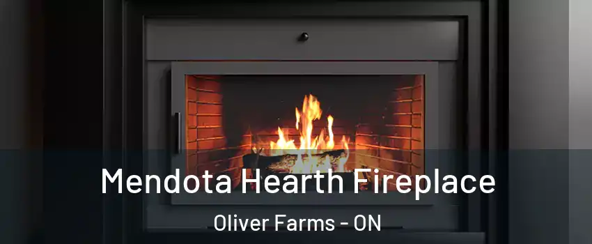 Mendota Hearth Fireplace Oliver Farms - ON