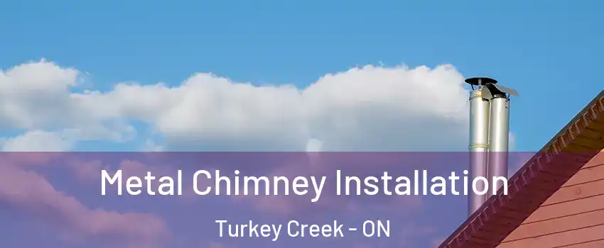 Metal Chimney Installation Turkey Creek - ON