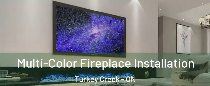  Multi-Color Fireplace Installation Turkey Creek - ON