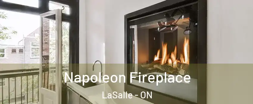  Napoleon Fireplace LaSalle - ON