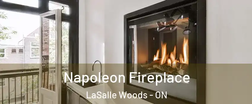  Napoleon Fireplace LaSalle Woods - ON