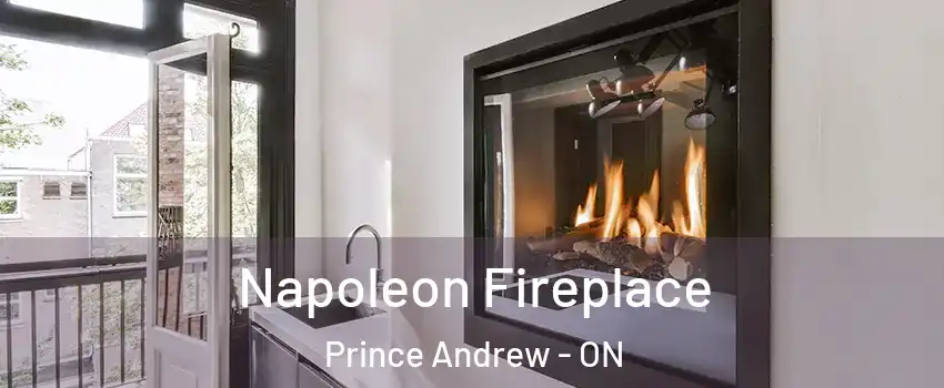  Napoleon Fireplace Prince Andrew - ON