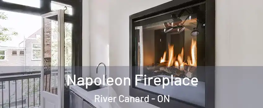 Napoleon Fireplace River Canard - ON