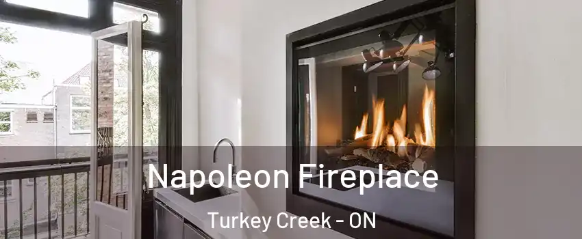  Napoleon Fireplace Turkey Creek - ON
