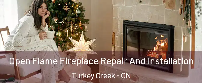  Open Flame Fireplace Repair And Installation Turkey Creek - ON