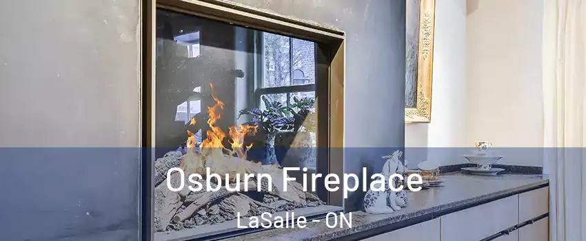  Osburn Fireplace LaSalle - ON