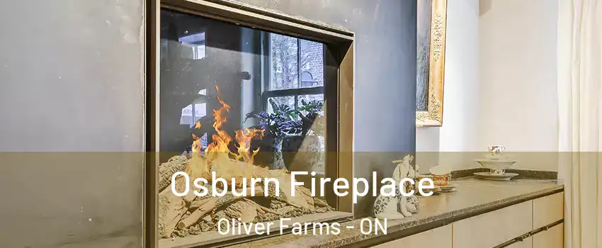 Osburn Fireplace Oliver Farms - ON