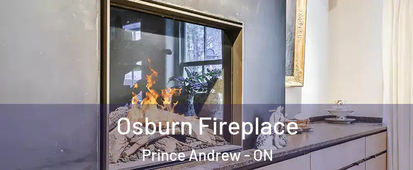  Osburn Fireplace Prince Andrew - ON