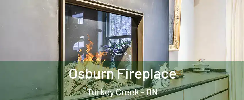  Osburn Fireplace Turkey Creek - ON