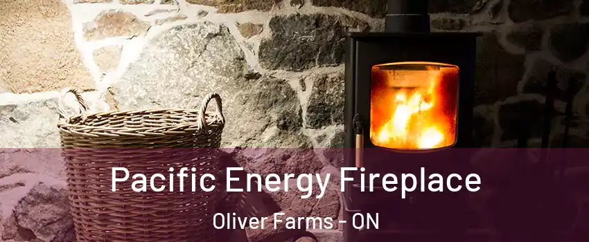  Pacific Energy Fireplace Oliver Farms - ON