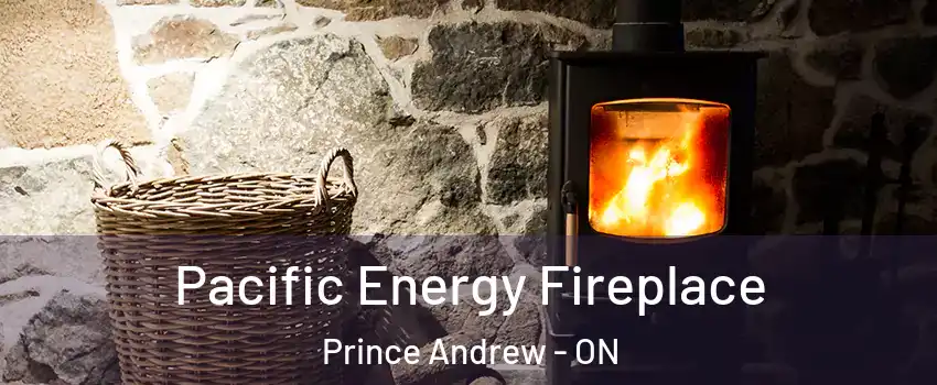  Pacific Energy Fireplace Prince Andrew - ON