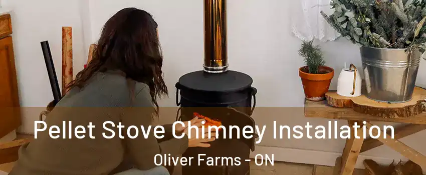  Pellet Stove Chimney Installation Oliver Farms - ON