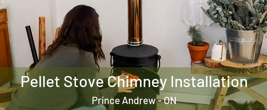  Pellet Stove Chimney Installation Prince Andrew - ON