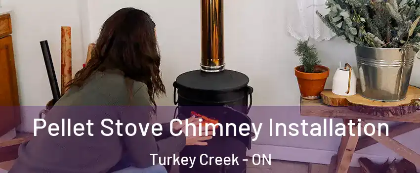  Pellet Stove Chimney Installation Turkey Creek - ON