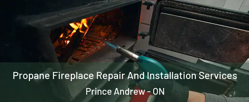 Propane Fireplace Repair And Installation Services Prince Andrew - ON