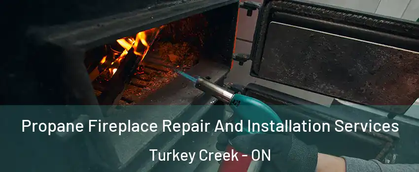 Propane Fireplace Repair And Installation Services Turkey Creek - ON