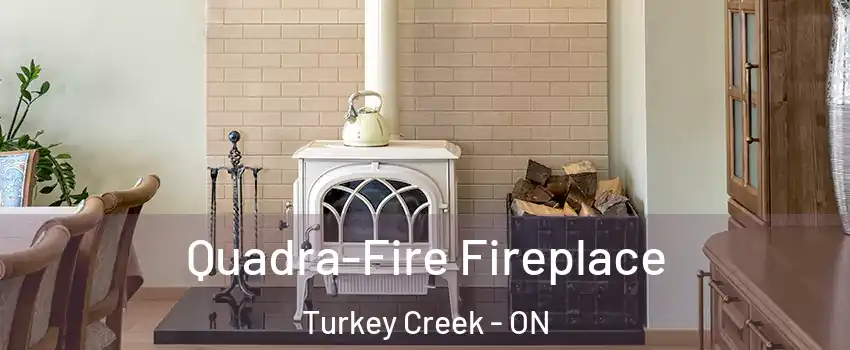  Quadra-Fire Fireplace Turkey Creek - ON