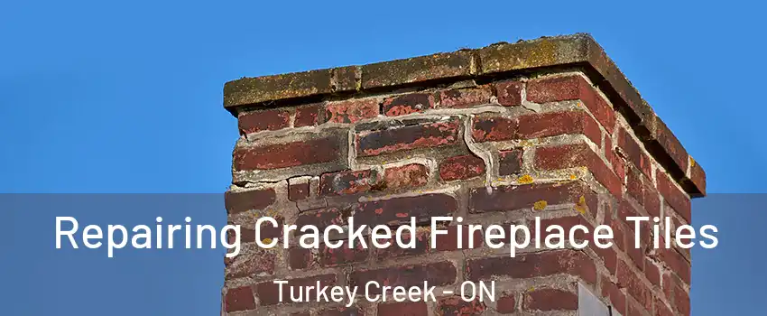  Repairing Cracked Fireplace Tiles Turkey Creek - ON
