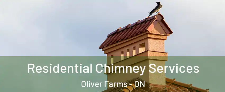 Residential Chimney Services Oliver Farms - ON