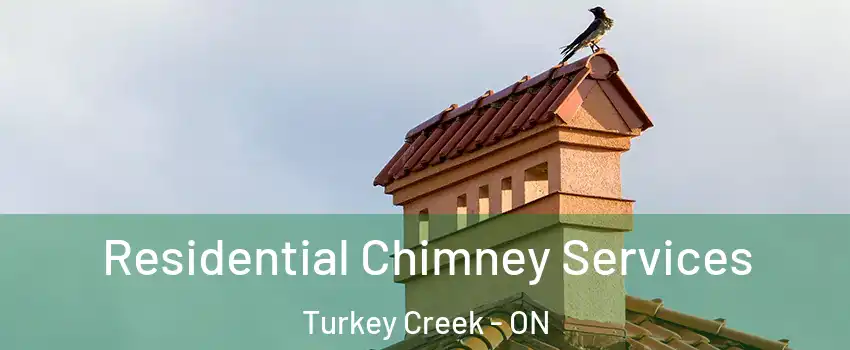  Residential Chimney Services Turkey Creek - ON
