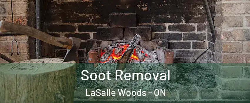  Soot Removal LaSalle Woods - ON