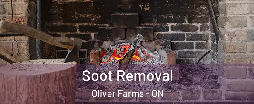  Soot Removal Oliver Farms - ON