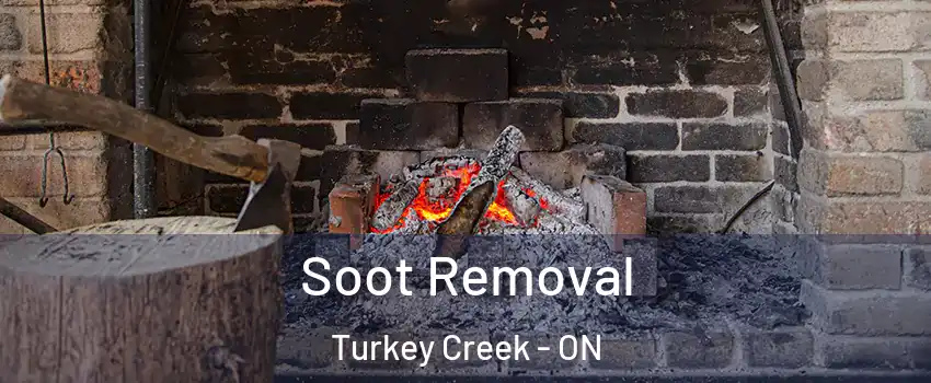  Soot Removal Turkey Creek - ON