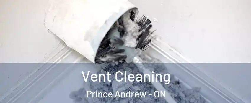  Vent Cleaning Prince Andrew - ON