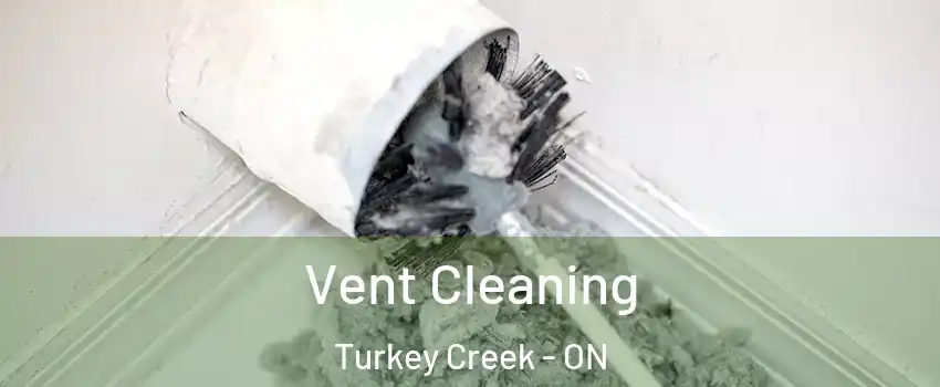  Vent Cleaning Turkey Creek - ON